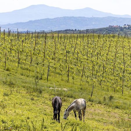 Pociano 1863 - Country House With Stunning View Of Siena Lupompesi エクステリア 写真
